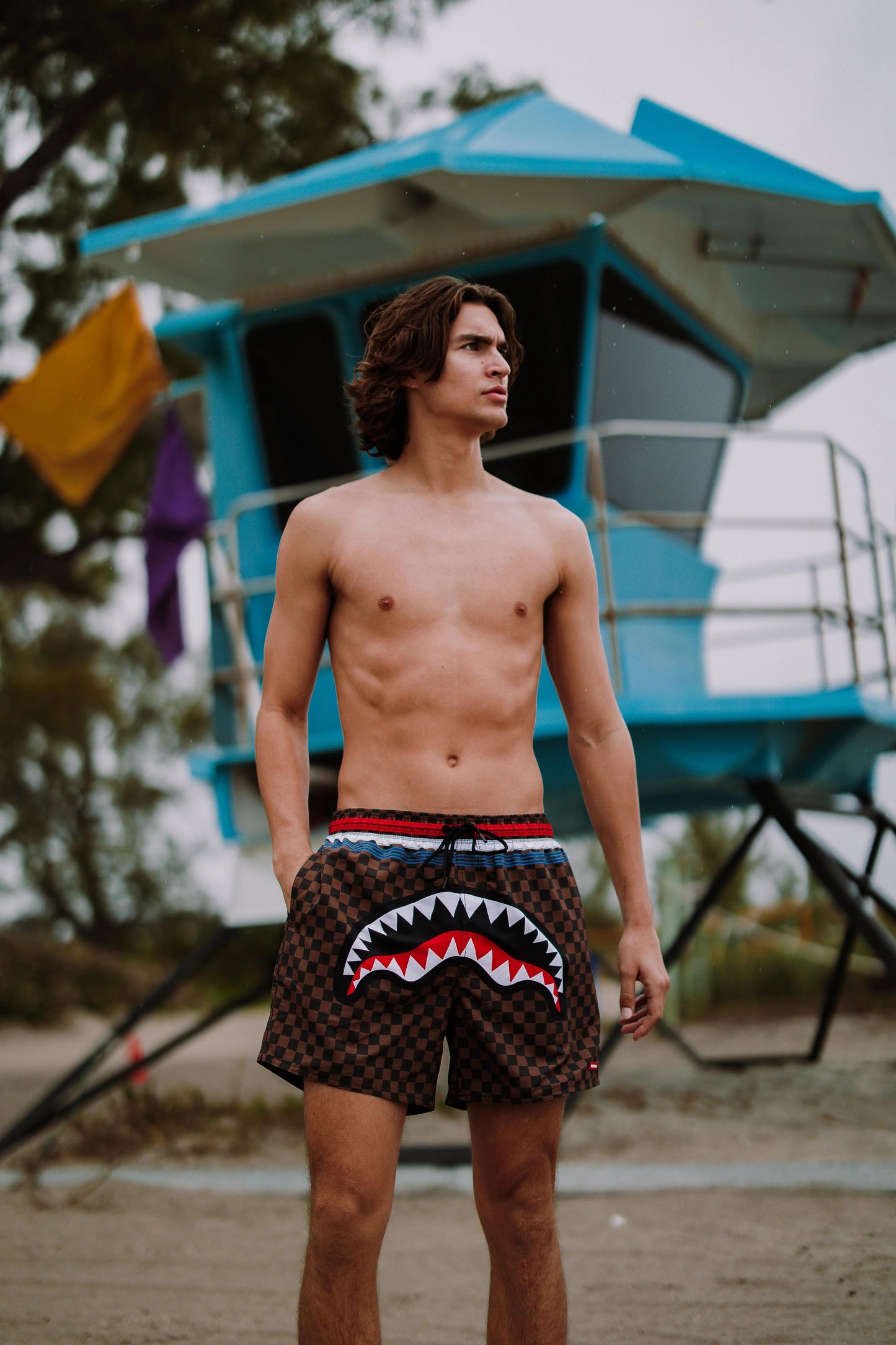 SHARKS IN PARIS GT SWIM SHORTS | Sprayground Everyday