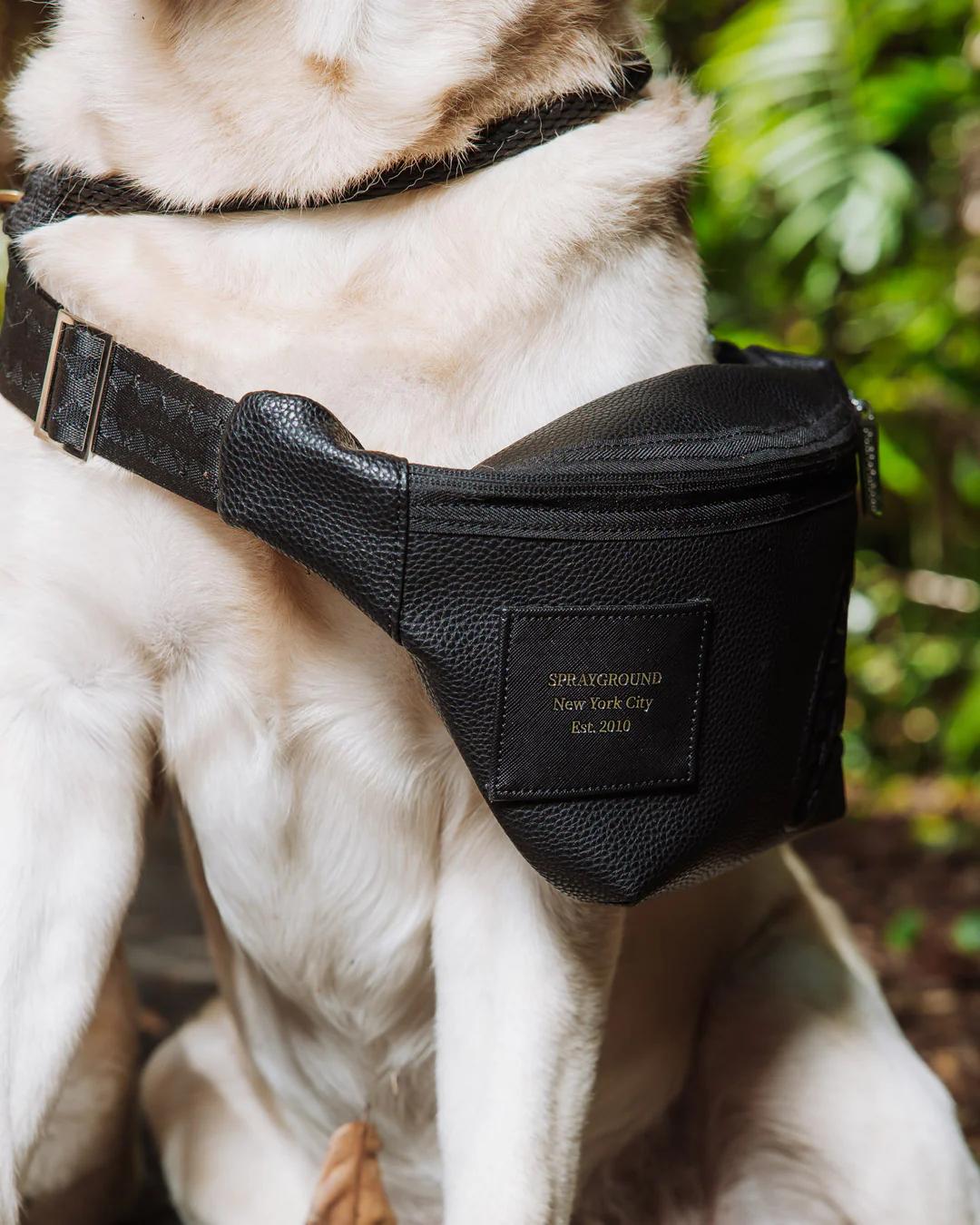 THE HQ SAVVY CROSSBODY | Sprayground Recommended