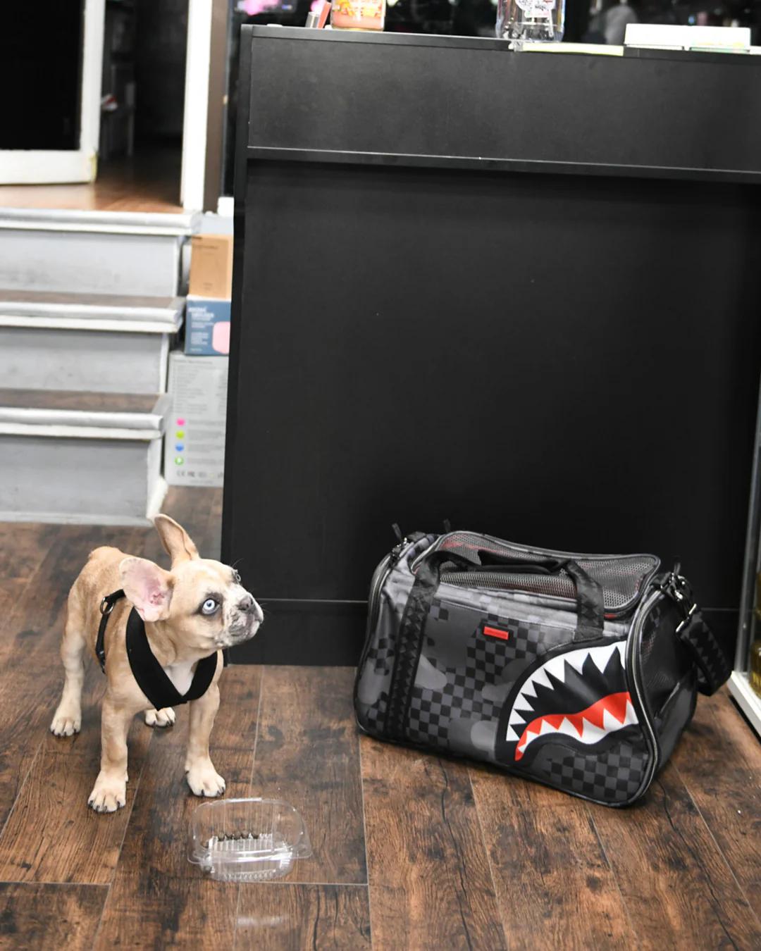 3AM PET CARRIER | Sprayground Essential
