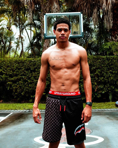 GREY CHECKERED SPLIT CORTO SWIM TRUNKS | Sprayground Popular