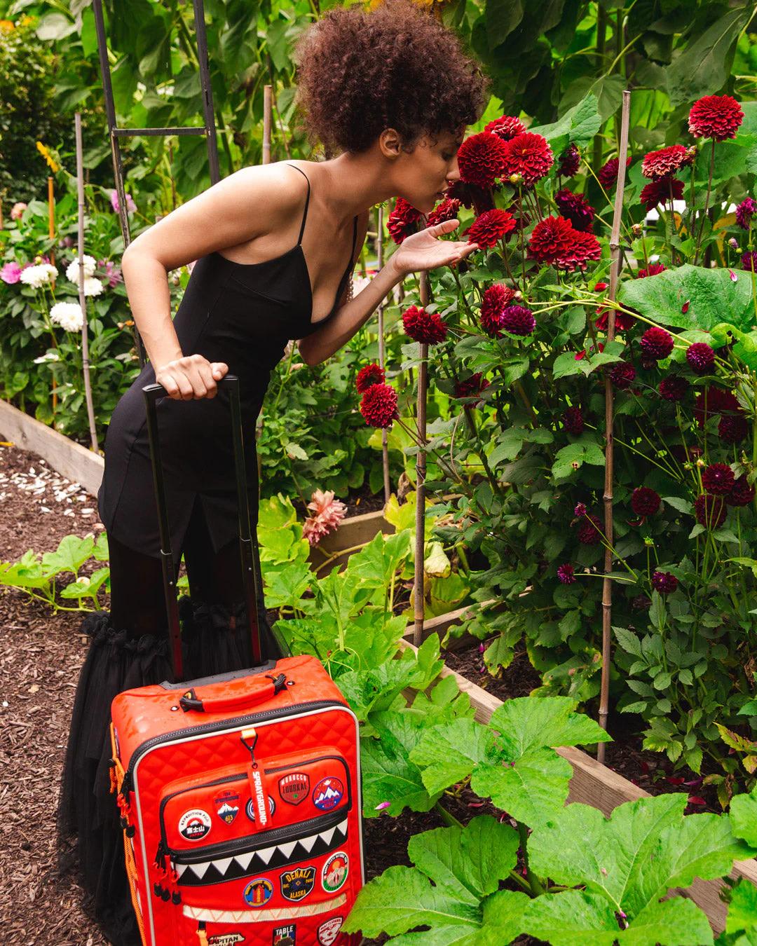 THE GLOBAL EXPEDITION JETSETTER CARRY-ON LUGGAGE | Sprayground New