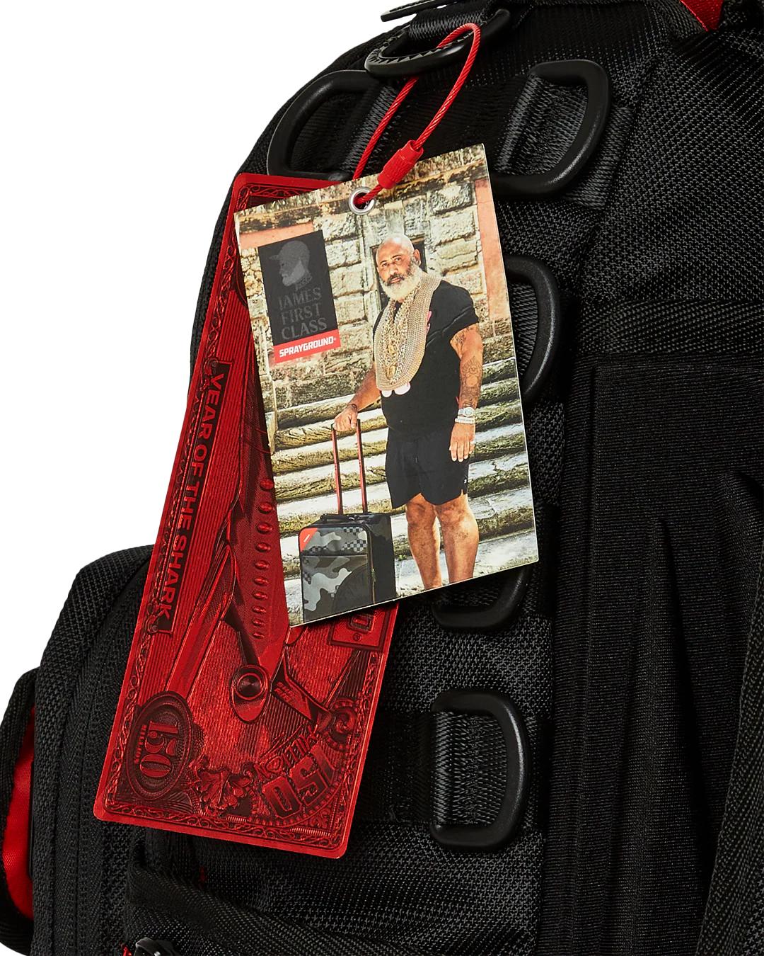 JAMES FIRST CLASS GLOBAL FLAGS SPECIAL OPS CARGO BACKPACK | Sprayground Premium