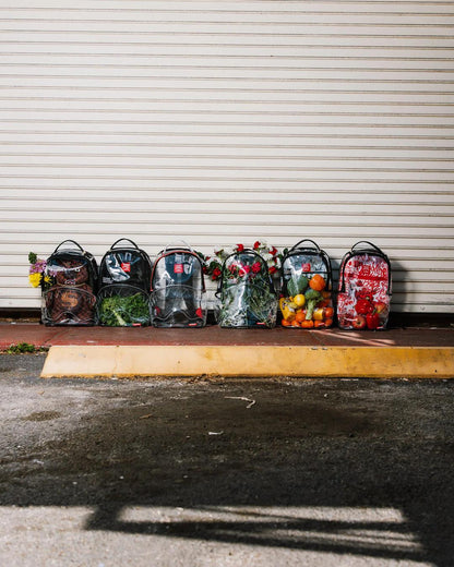 CLEAR BACKPACK - SHARKS IN PARIS BEAR | Sprayground Value